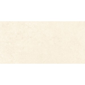 Gạch ốp tường Trường Thịnh ART & STYLE TT36151